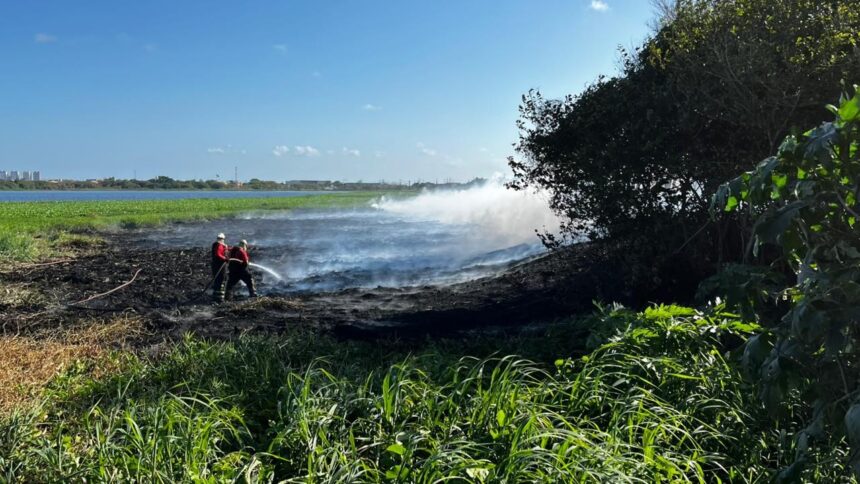 novo-incendio-e-registrado-no-parque-do-coco,-em-fortaleza;-video