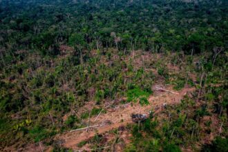 almt-aprova-projeto-que-preve-reclassificacao-de-areas-de-amazonia-e-cerrado