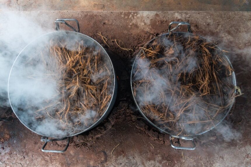o-que-e-o-cha-de-ayahuasca,-ingerido-por-homem-que-desapareceu-em-floresta-no-ceara
