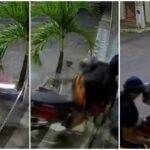 video:-motociclista-em-alta-velocidade-bate-em-loja,-quebra-porta-de-vidro-e-vai-embora