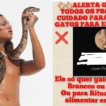 modelo-denuncia-fake-news-de-que-adotava-gatos-para-alimentar-cobra-usada-em-ensaio-fotografico