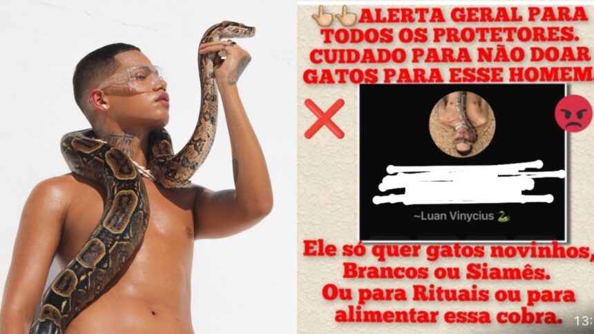 modelo-denuncia-fake-news-de-que-adotava-gatos-para-alimentar-cobra-usada-em-ensaio-fotografico