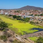 agroindustria-em-movimento:-sebrae-fortalece-agronegocio-no-centro-sul-do-ceara