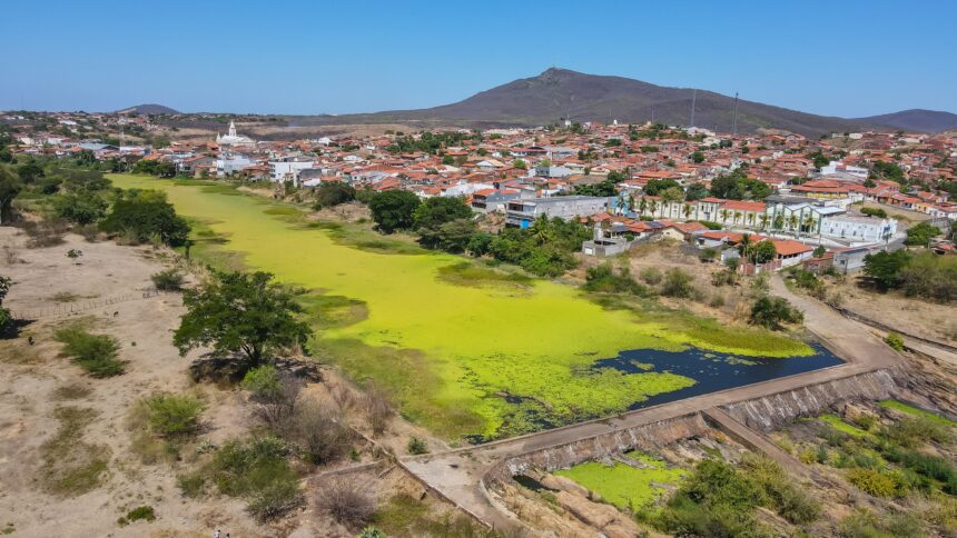 agroindustria-em-movimento:-sebrae-fortalece-agronegocio-no-centro-sul-do-ceara