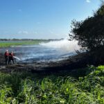 numero-de-incendios-em-vegetacao-cai-mais-da-metade-no-primeiro-semestre-de-2025-no-ceara