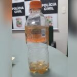 dois-homens-morrem-apos-beber-veneno-de-lagarta-achando-que-era-cachaca,-no-ceara