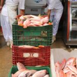 tarifaco-de-trump:-aco-sera-poupado,-mas-pescados-do-ceara-serao-taxados