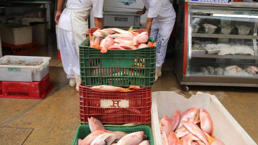 tarifaco-de-trump:-aco-sera-poupado,-mas-pescados-do-ceara-serao-taxados