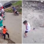 video:-enxame-de-abelhas-ataca-pessoas-em-velorio-e-deixa-feridos-no-ceara