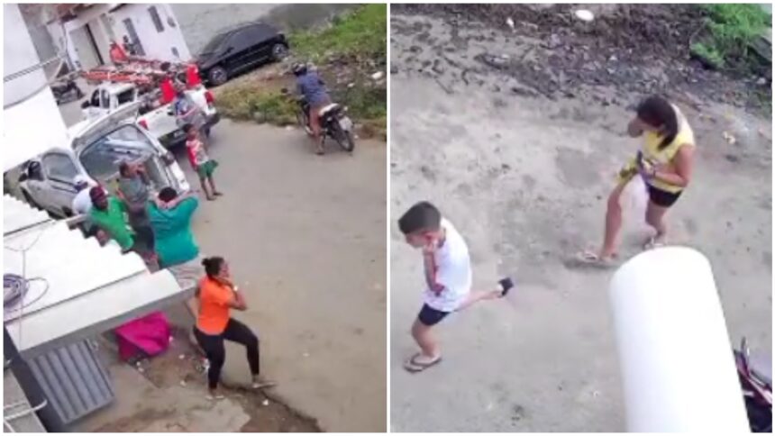 video:-enxame-de-abelhas-ataca-pessoas-em-velorio-e-deixa-feridos-no-ceara