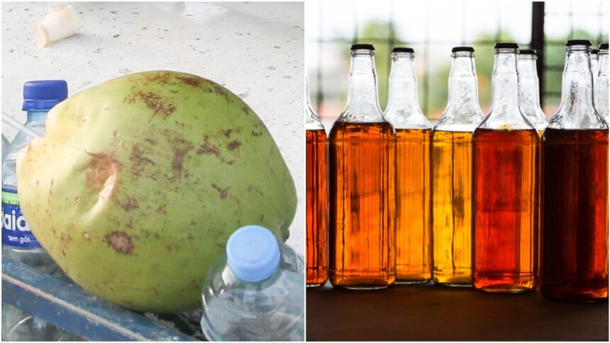 governo-do-ceara-anuncia-compra-de-agua-de-coco-e-cajuina-apos-tarifaco-dos-eua