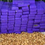 policia-encontra-mais-de-100-kg-de-maconha-em-sacos-com-castanha-de-caju-no-interior-do-ceara