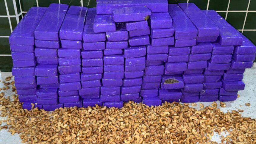 policia-encontra-mais-de-100-kg-de-maconha-em-sacos-com-castanha-de-caju-no-interior-do-ceara