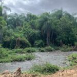 moradores-denunciam-frigorifico-por-causar-poluicao-no-rio-salgadinho,-em-juazeiro-do-norte