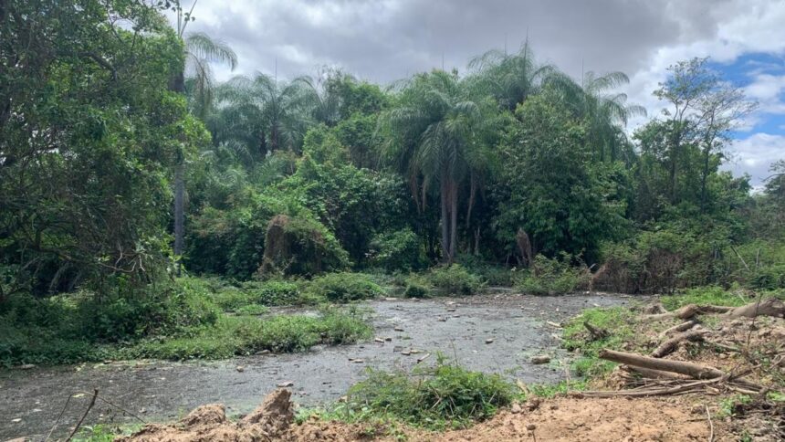 moradores-denunciam-frigorifico-por-causar-poluicao-no-rio-salgadinho,-em-juazeiro-do-norte