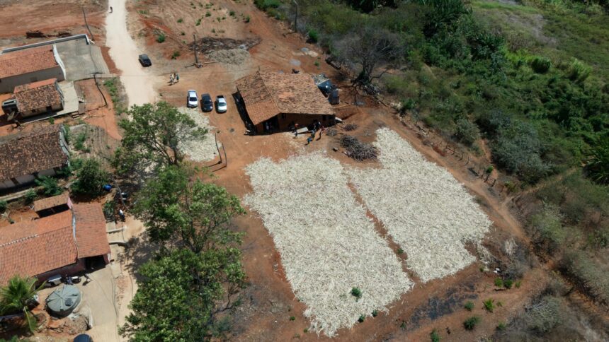 apos-13-anos,-engenho-de-cana-de-acucar-volta-a-funcionar-em-cedro,-no-ceara