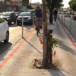 criminosos-voltam-a-furtar-grades-da-ciclovia-da-av.-domingos-olimpio