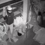 policia-prende-dupla-que-arrombou-casa-e-matou-morador-a-tiros-no-ceara;-video