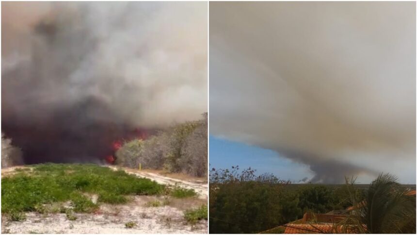 video:-incendios-de-grandes-proporcoes-atingem-litoral-leste-do-ceara