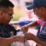 fortaleza-realiza-dia-d-de-vacinacao-antirrabica-para-caes-e-gatos-neste-sabado;-veja-locais