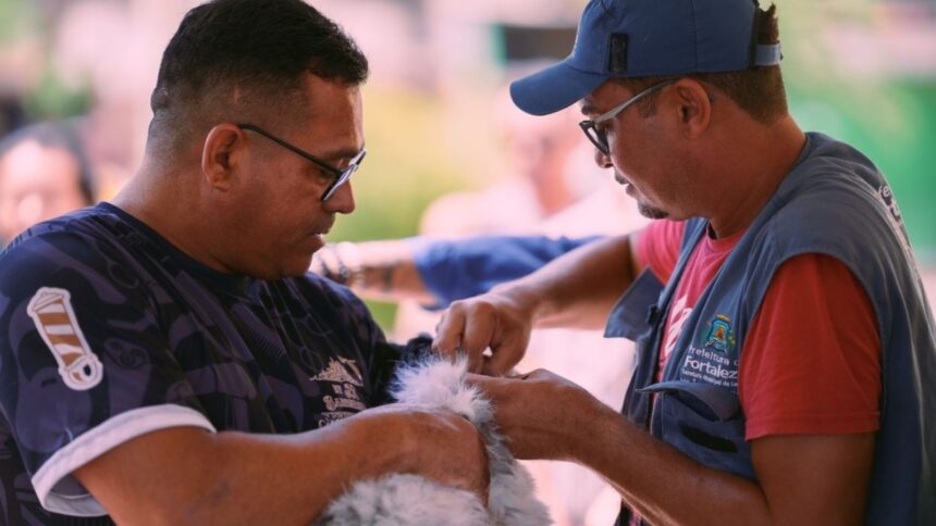 fortaleza-realiza-dia-d-de-vacinacao-antirrabica-para-caes-e-gatos-neste-sabado;-veja-locais