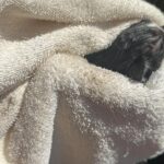 cbmce-resgata-filhote-de-gato-de-tubulacao