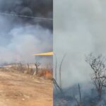 em-um-mes,-ceara-teve-media-de-43-incendios-em-vegetacao-por-dia;-veja-videos