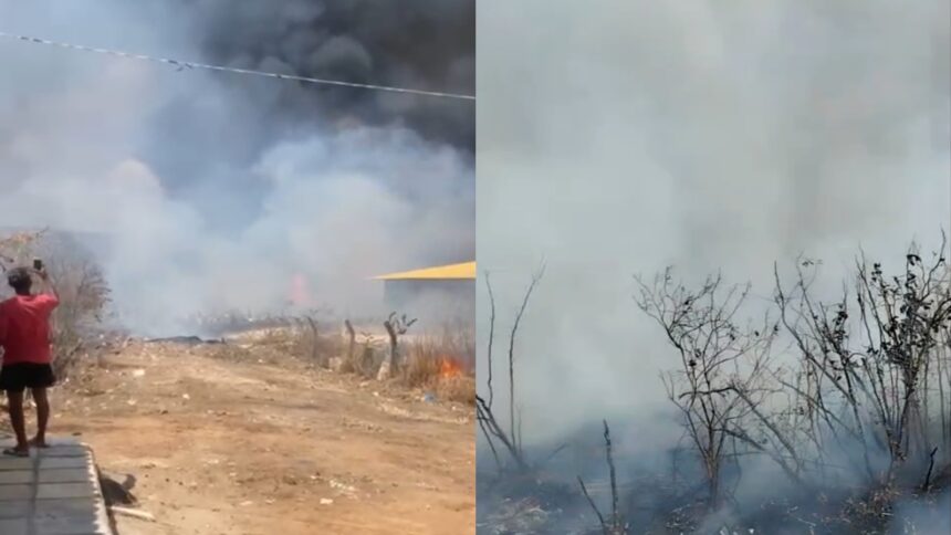 em-um-mes,-ceara-teve-media-de-43-incendios-em-vegetacao-por-dia;-veja-videos