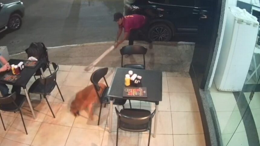 homem-e-preso-por-agredir-cachorro-com-paulada-no-ceara;-imagem-e-forte