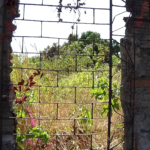 vazios-urbanos:-terrenos-abandonados-viram-alvo-de-nova-proposta-urbanistica-em-fortaleza