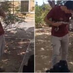 video:-jiboia-morde-e-se-agarra-a-rosto-de-aluno-em-universidade-no-ceara