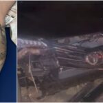 testemunha-relata-tensao-apos-caminhonete-atropelar-pessoas-em-festa:-‘saiu-batendo-e-arrastando’