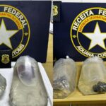 corais-do-oceano-pacifico-sao-apreendidos-sem-documentacao-no-aeroporto-de-fortaleza