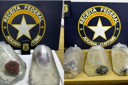 corais-do-oceano-pacifico-sao-apreendidos-sem-documentacao-no-aeroporto-de-fortaleza