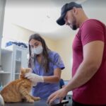 fortaleza-promove-3o-dia-d-da-vacinacao-antirrabica-para-caes-e-gatos-neste-sabado