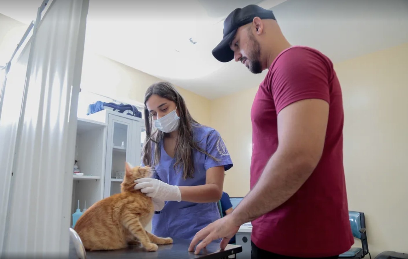 fortaleza-promove-3o-dia-d-da-vacinacao-antirrabica-para-caes-e-gatos-neste-sabado