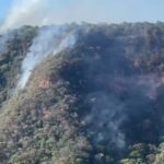 desmatamento-cai-no-brasil-em-2024,-mas-apa-da-chapada-do-araripe-segue-entre-as-mais-afetadas