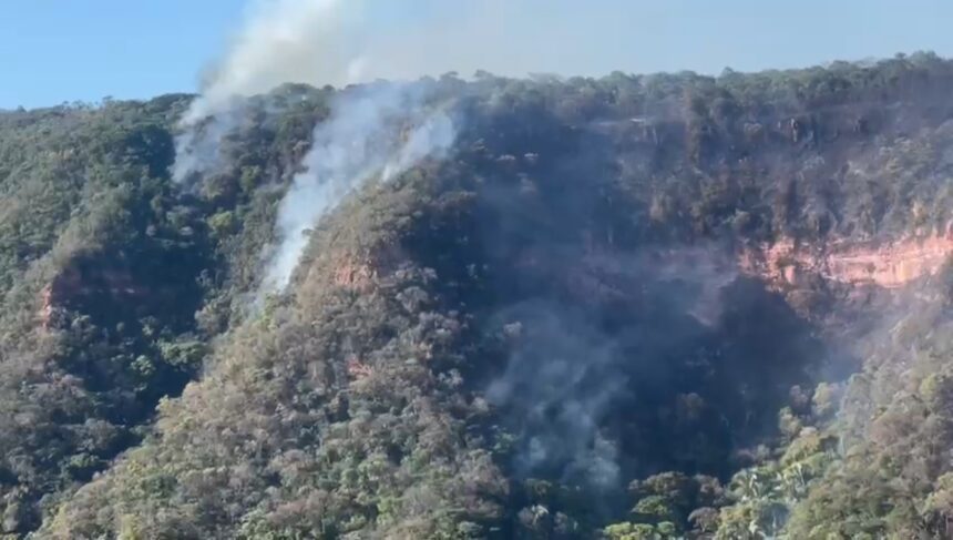 desmatamento-cai-no-brasil-em-2024,-mas-apa-da-chapada-do-araripe-segue-entre-as-mais-afetadas