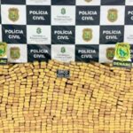 policia-apreende-2,5-toneladas-de-maconha-no-ceara;-um-homem-e-preso